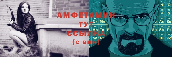 ПСИЛОЦИБИНОВЫЕ ГРИБЫ Вязники