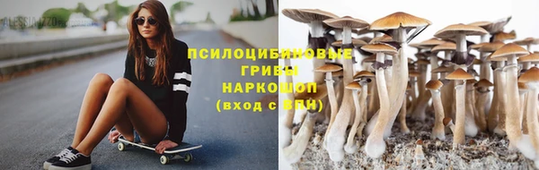 индика Саяногорск