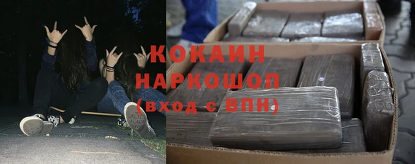 ПСИЛОЦИБИНОВЫЕ ГРИБЫ Вязники