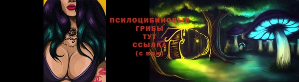 ПСИЛОЦИБИНОВЫЕ ГРИБЫ Вязники