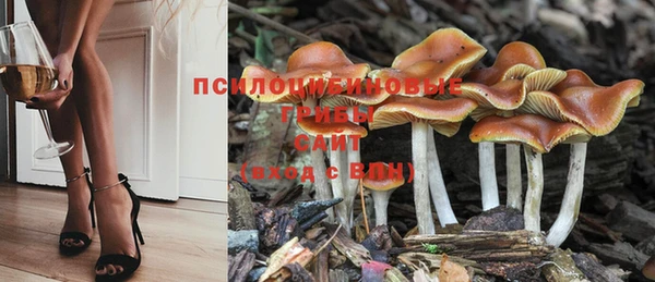 прущая мука Сатка