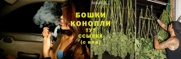ПСИЛОЦИБИНОВЫЕ ГРИБЫ Вязники