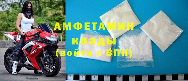 ПСИЛОЦИБИНОВЫЕ ГРИБЫ Вязники