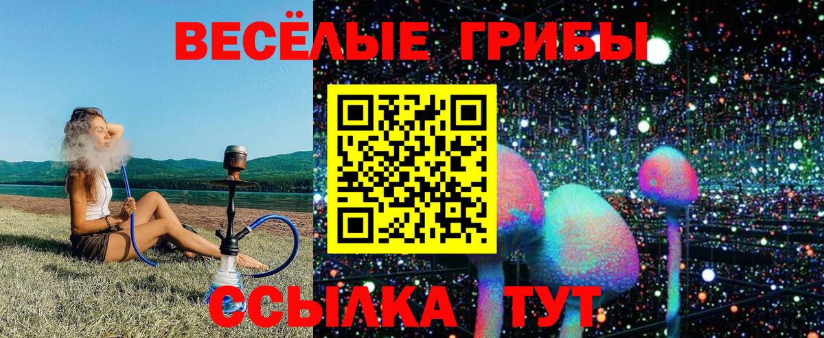 Галлюциногенные грибы Cubensis  Вход с VPN  Холмск 